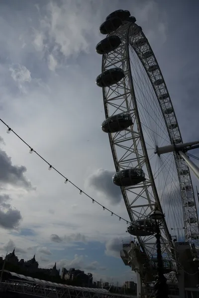 DSC_2805 (Large).JPG